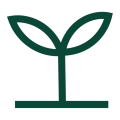 ícono planta